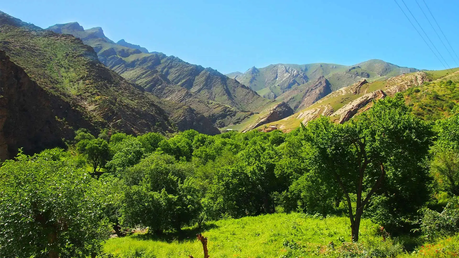 Nuratau Mountains trekking - scenic hiking trails through pristine wilderness of Uzbekistan