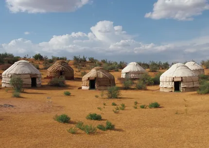 Traditional yurts at the Aydarkul desert camp