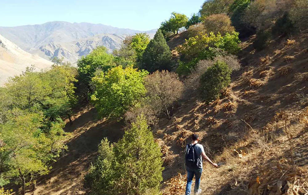 guesthouse in nuratau