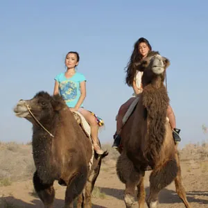 Bactrian camel riding in the Kyzylkum Desert near Aydarkul Lake, Uzbekistan